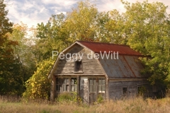 Barn-Shed-Old-Napanee-1750