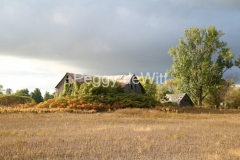 Barn-Sumac-Fall-3531