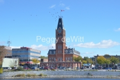 Belleville-City-Hall-Birds-2919