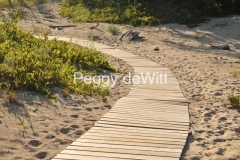 Sandbanks-Boardwalk-3329