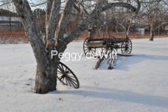 Apple-Orchard-Wagon-Wheel-Winter-2904