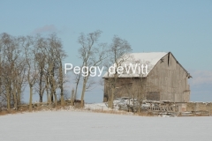 Barn-Grey-Winter-2768