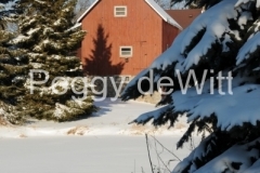 Barn-West-Lake-Fir-Trees-Winter-v-2117