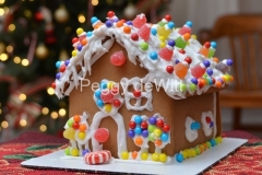 Christmas-Gingerbread-House-3179