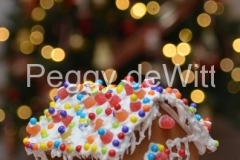 Christmas-Gingerbread-House-v-3178