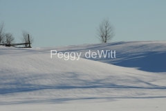 Field-Snow-Winter-2378