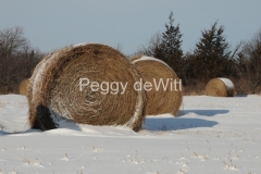 Hay-Bales-Winter-2171