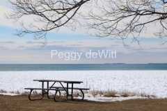 Sandbanks-Picnic-Table-Winter-3367