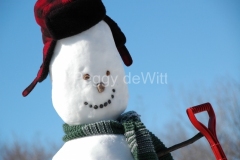 Snowman-1677