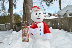 Snowman-Christmas-Gift-3490