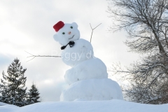 Snowman-Parry-Sound-2309