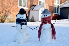 Snowmen-Cherry-Valley-3979