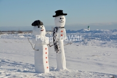 Snowmen-Couple-Wellington-3513