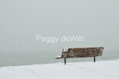 Wellington-Beach-Bench-Winter-3462