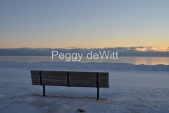 Wellington-Bench-Dark-Winter-3468